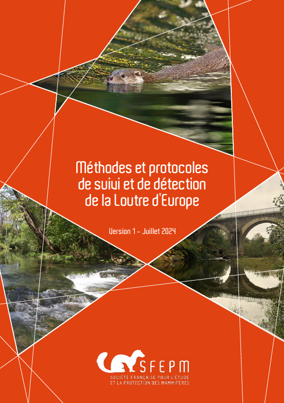 Le guide « Méthodes et protocoles de suivi et de détection de la Loutre d'Europe » disponible en ligne depuis le mois de juillet 2024.