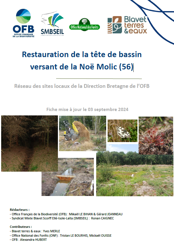 Restauration de la tête de bassin versant de la Noë Molic (56)