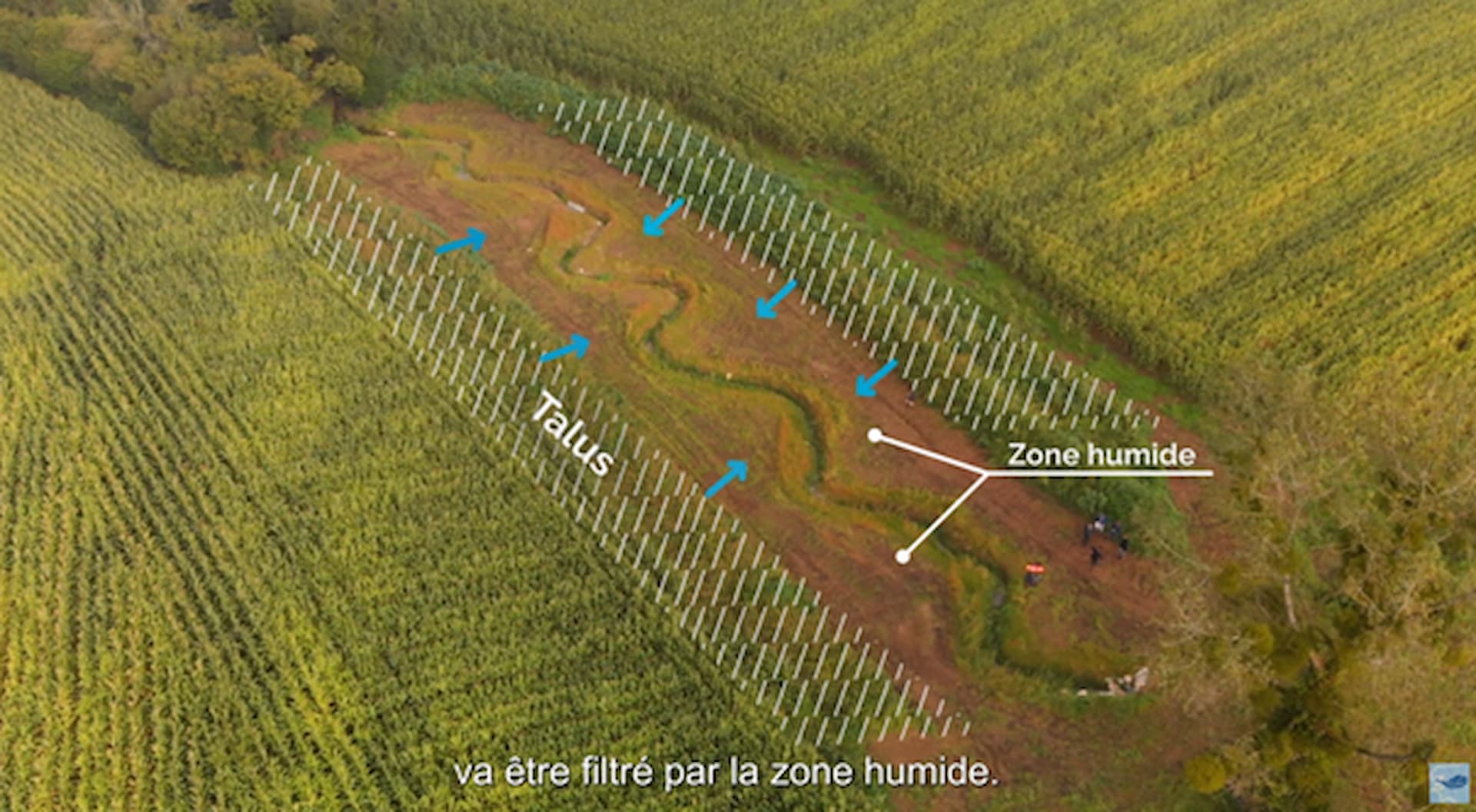 Travaux de restauration de cours d'eau et de zones humides - 2 nouvelles vidéos