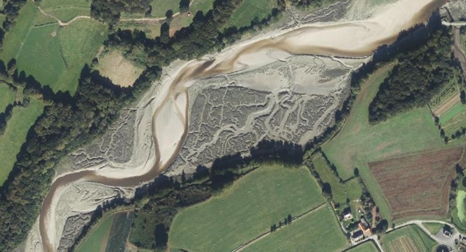 Mise en ligne de la donnée de prélocalisation des zones humides estuariennes par télédetection